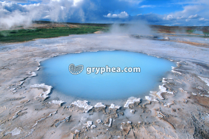 Source chaude avec dépôts cristallins (Hveravellir, Islande) - gryphea.org